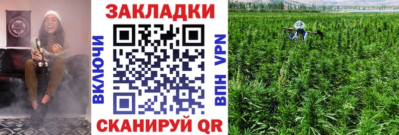 Купить наркотики Чегем ГАШ  Cocaine  Мефедрон  Галлюциногенные грибы  МАРИХУАНА  Alpha PVP 