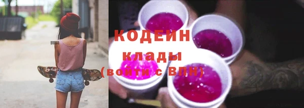 индика Абинск