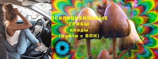 индика Абинск