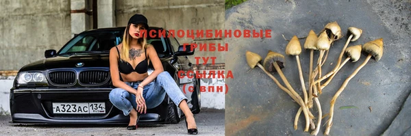 герыч Абаза