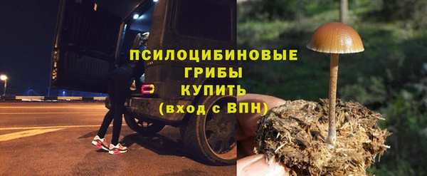 индика Абинск