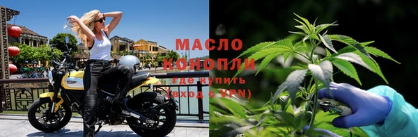 индика Абинск