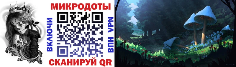 кракен ССЫЛКА  Чегем  Галлюциногенные грибы Psilocybine cubensis 
